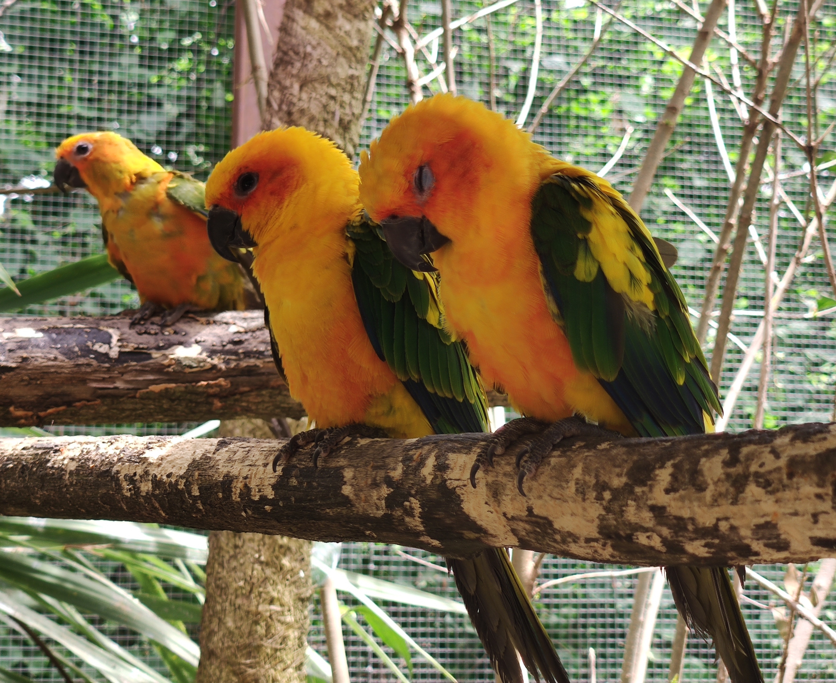 Photo n° 5 de l'avis de Yann.a fait le 29/07/2023 à 09:41