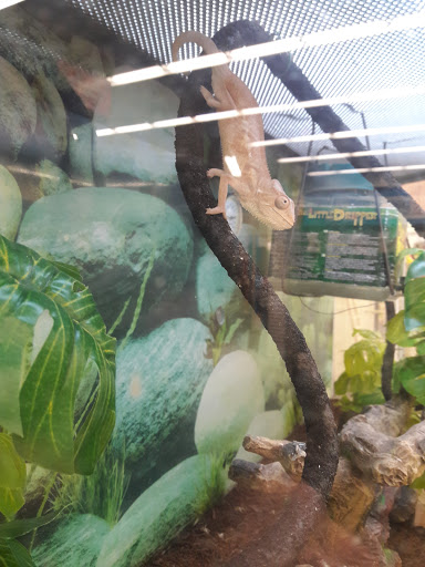 Pet Supply Store «Petco Animal Supplies», reviews and photos, 280 Kensington Blvd, Slidell, LA 70458, USA