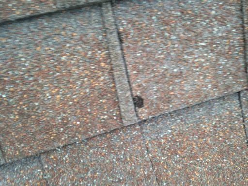 Insurance Agency «Floridas Best Public Adjusters», reviews and photos