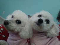 Kuebler No Frills Pet Clinic - Photo 6 - Car repair in Salem, OR, Salem