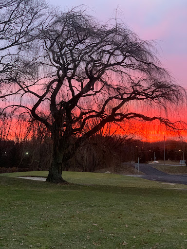 Golf Course «Rolling Oaks Golf Course», reviews and photos, 181 NY-25A, Rocky Point, NY 11778, USA