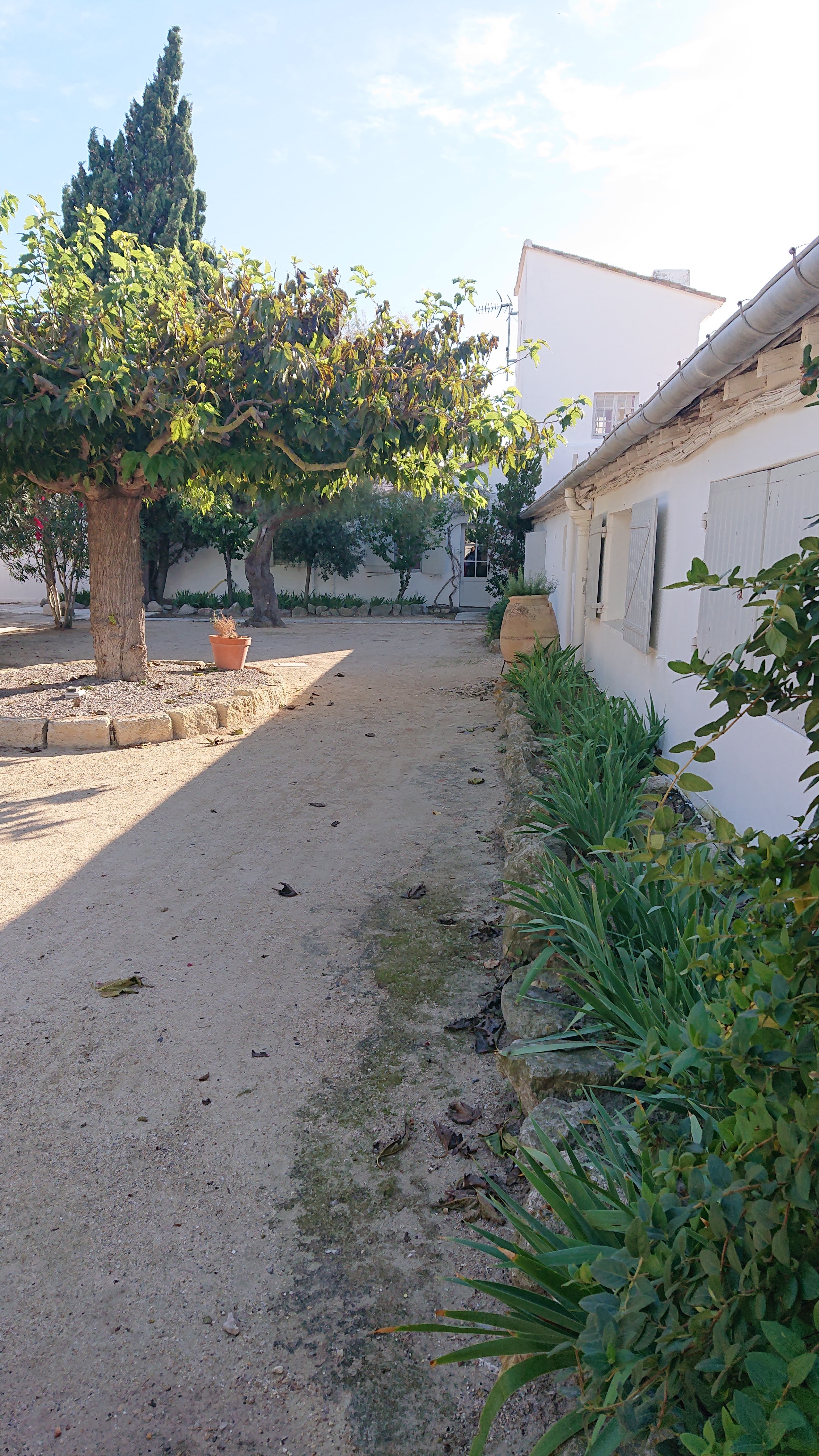 Photo n° 5 de l'avis de Magdolna.� fait le 30/09/2022 à 16:21