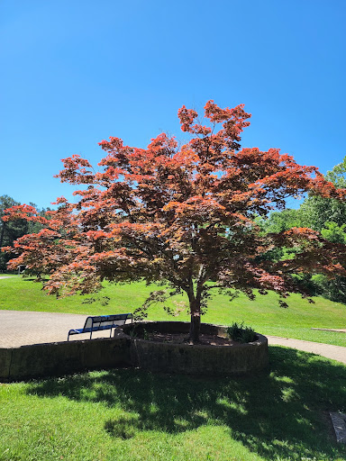 Visitor Center «Golden Pond Visitor Center & Planetarium», reviews and photos, 238 Visitor Center Dr, Golden Pond, KY 42211, USA