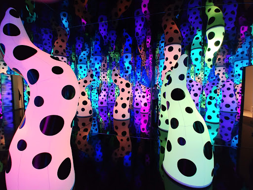 Art Museum «Tampa Museum of Art», reviews and photos, 120 W Gasparilla Plaza, Tampa, FL 33602, USA