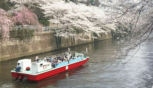 Meguro River Hanami Cruise