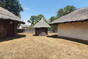 Fishing museum - "Garboavele" forest image