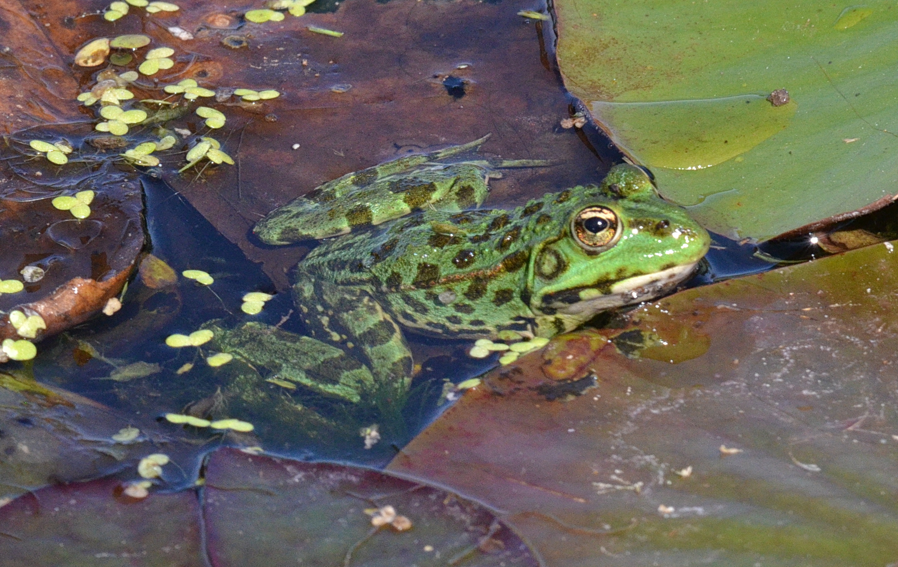 Photo n° 4 de l'avis de Nick.e fait le 27/09/2023 à 16:09