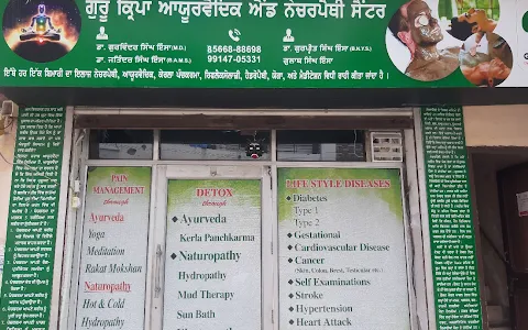Guru kirpa Ayurvedic & naturopathy Centre image
