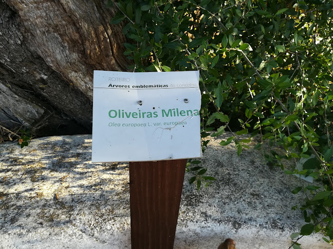 Capela de São Bartolomeu - Igreja