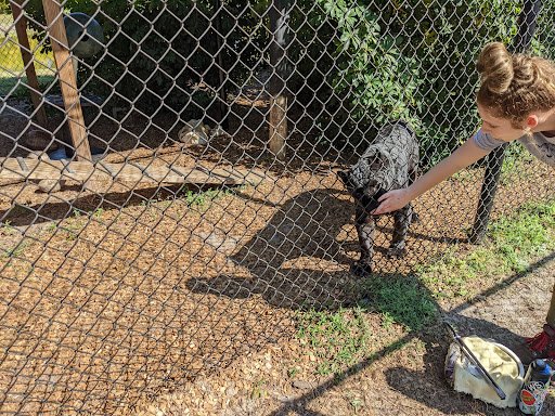 Tourist Attraction «Panther Ridge Conservation Center», reviews and photos, 14755 Palm Beach Point Blvd, Wellington, FL 33414, USA