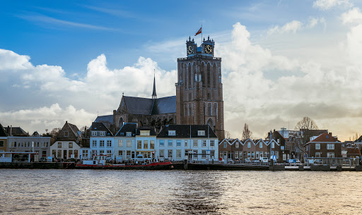 Ongediertebestrijding Dordrecht