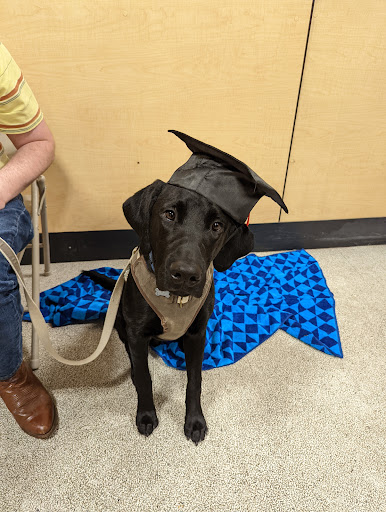 Pet Supply Store «PetSmart», reviews and photos, 32962 FM 2978 Rd, Magnolia, TX 77354, USA