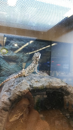 Pet Supply Store «Petco Animal Supplies», reviews and photos, 5925 US-6, Portage, IN 46368, USA