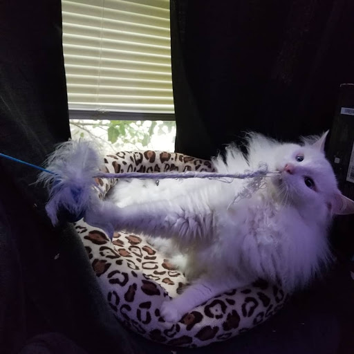 475 Denbigh Blvd, Newport News, VA 23608, USA