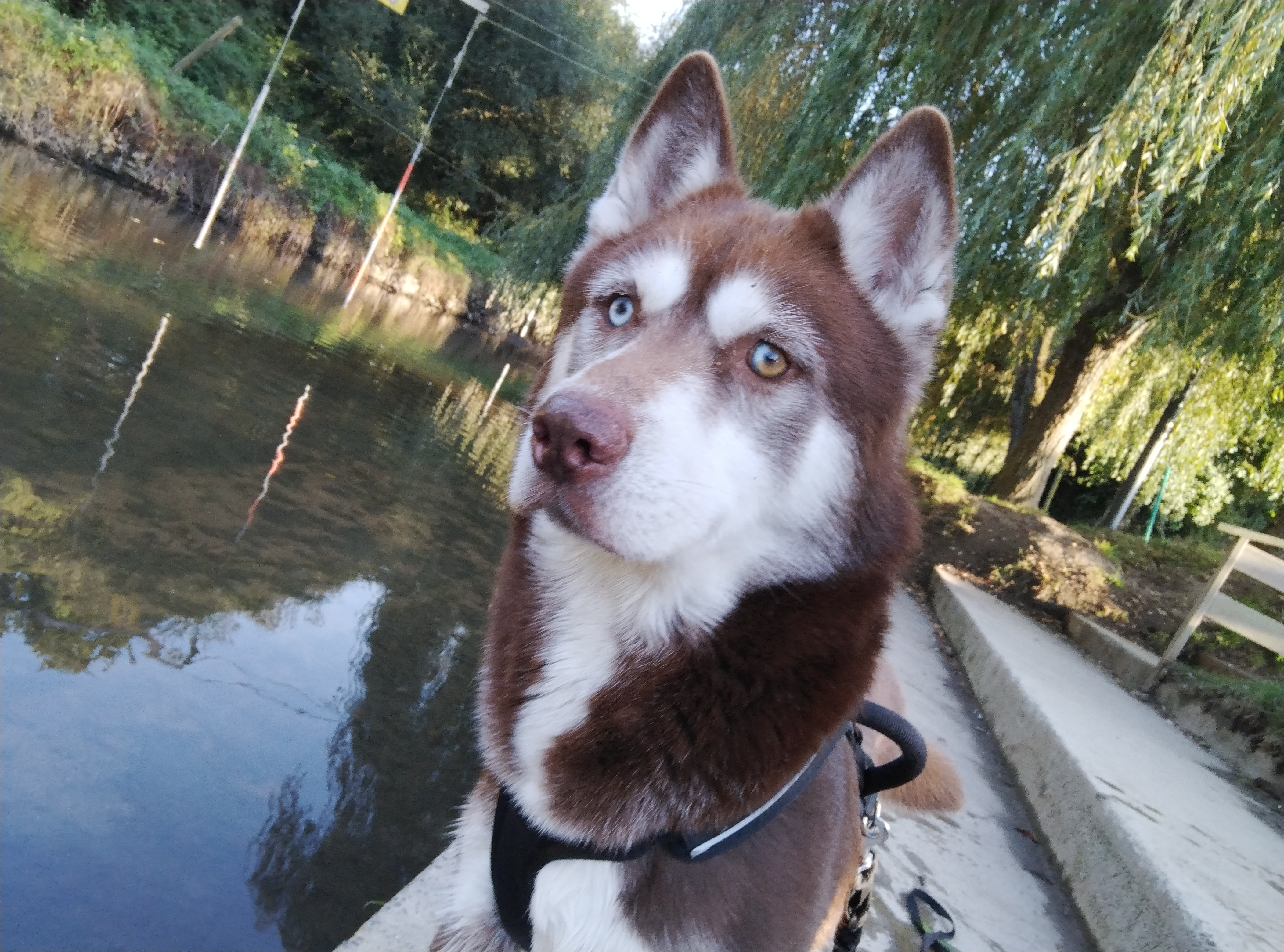 Photo n° 1 de l'avis de Maryse.L fait le 26/10/2022 à 14:41