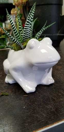 Florist «Natural Simplicity», reviews and photos, 223 Main St, El Segundo, CA 90245, USA