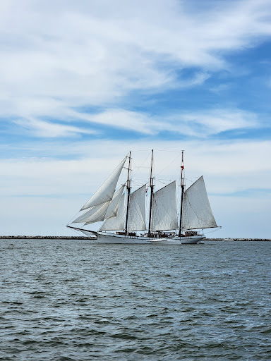 Stadium «FirstEnergy Stadium», reviews and photos, 100 Alfred Lerner Way, Cleveland, OH 44114, USA