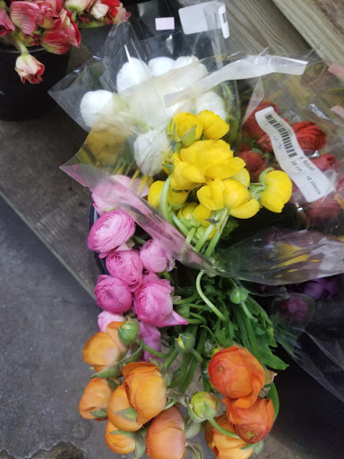 Florist «San Antonio Flower Co», reviews and photos, 7538 Broadway St, San Antonio, TX 78209, USA