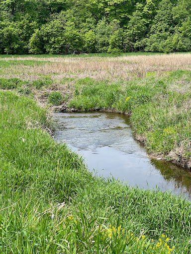 Nature Preserve «Meacham Forest Preserve», reviews and photos, Circle Ave, Bloomingdale, IL 60108, USA