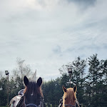 Photo n°2 de l'avis de Robe. fait le 17/03/2024 à 18:23 sur le  Centro Ippico Pegaso à Collesalvetti