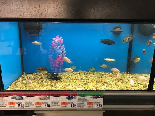 Pet Supply Store «Pet Supplies Plus», reviews and photos, 100 Mall Dr, Steubenville, OH 43952, USA