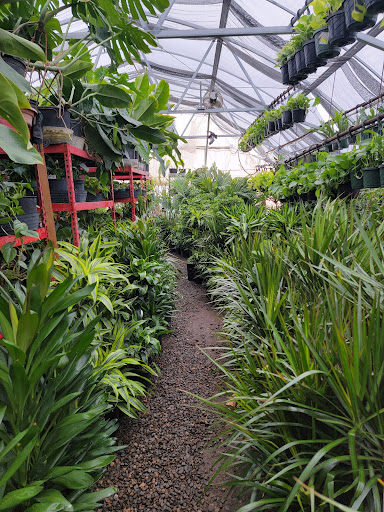 Florist «Little Eden Plantscaping», reviews and photos, 15550 W 72nd Ave, Arvada, CO 80007, USA