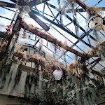 Photo n° 3 de l'avis de Cerf.e fait le 21/05/2023 à 18:41 pour Alba - Restaurant Italien Reims à Reims