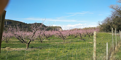 Verger De L'ove à Soyons
