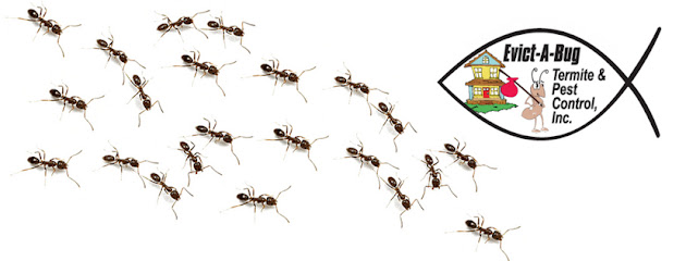 Evict-A-Bug Termite & Pest Control