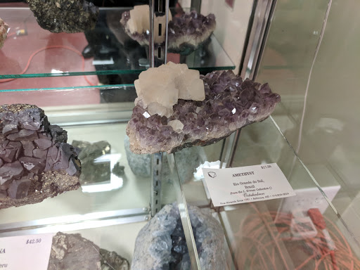 Natural History Museum «Natural History Society of Maryland», reviews and photos, 6908 Belair Rd, Baltimore, MD 21206, USA