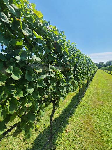 Winery «Willow Creek Winery and Farm», reviews and photos, 160-168 Stevens St, West Cape May, NJ 08204, USA