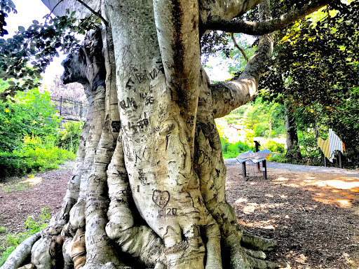 Wedding Venue «Highfield Hall & Gardens», reviews and photos, 58 Highfield Dr, Falmouth, MA 02540, USA