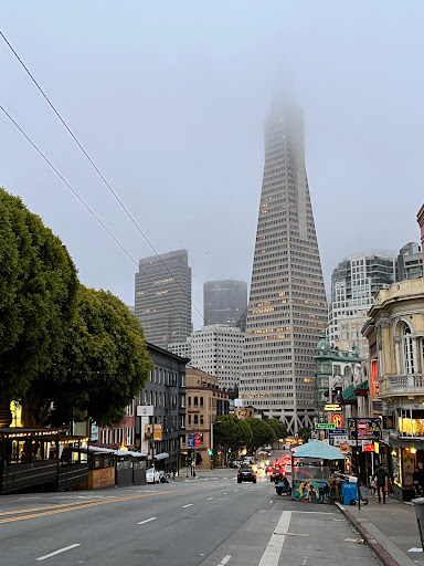 Book Store «City Lights Booksellers & Publishers», reviews and photos, 261 Columbus Ave, San Francisco, CA 94133, USA
