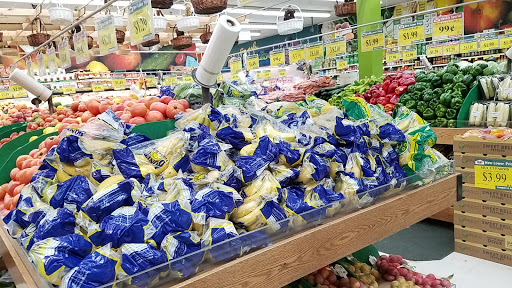 Park «Inwood Hill Park», reviews and photos, Dyckman St, New York, NY 10452, USA