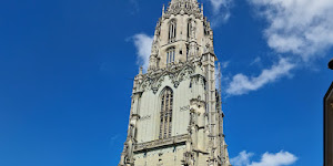 Berner Münster