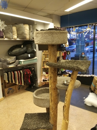 Pet Supply Store «Ruff Haus Pets», reviews and photos, 4652 N Rockwell St, Chicago, IL 60625, USA