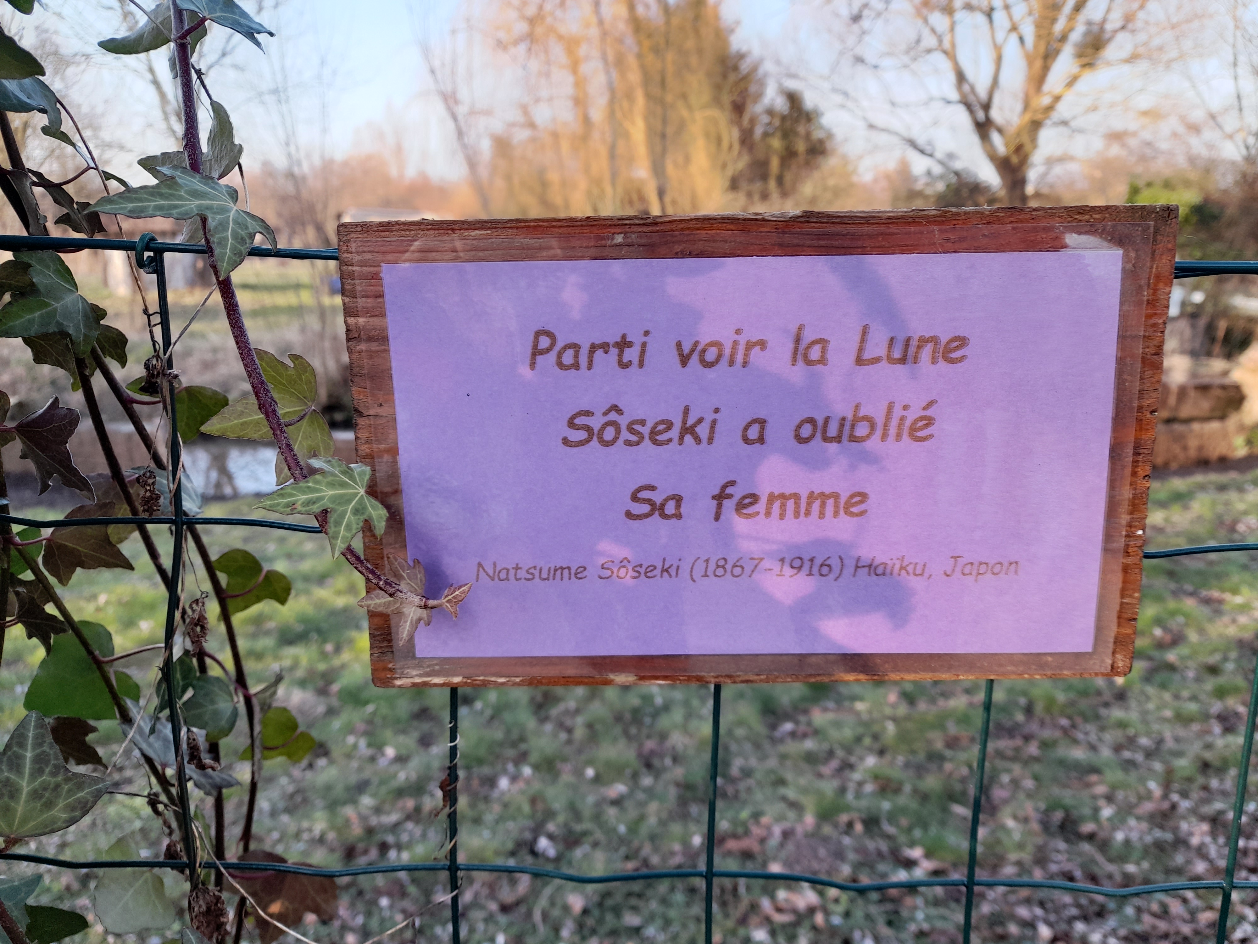Photo n° 8 de l'avis de gilles.a fait le 11/02/2023 à 23:07