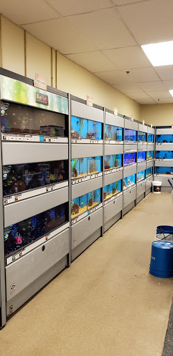 Pet Supply Store «Petco Animal Supplies», reviews and photos, 405 W Loop 281, Longview, TX 75605, USA