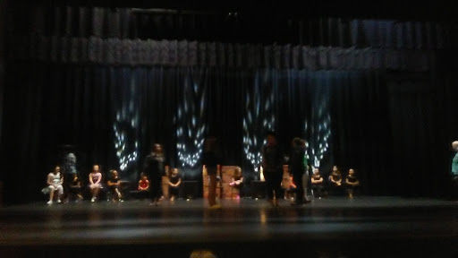 Performing Arts Theater «Theatre Dublin», reviews and photos, 314 Academy Ave, Dublin, GA 31021, USA