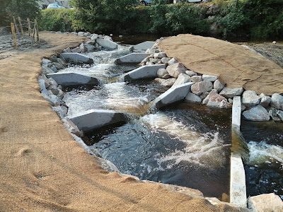 Aappma La Gaule de la Mare "passe à poissons à Vérines" à Saint-Marcellin-en-Forez