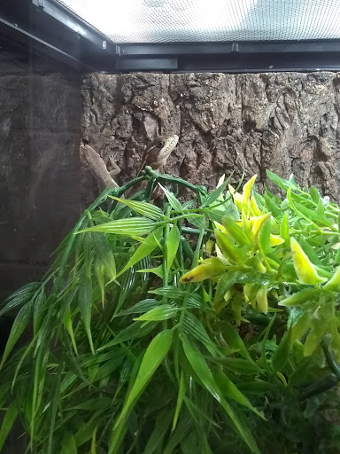 Pet Store «Fishland», reviews and photos, 205 St Louis St, West Plains, MO 65775, USA