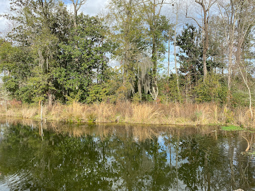 Sporting Goods Store «Academy Sports + Outdoors», reviews and photos, 455 Norman Dr, Valdosta, GA 31601, USA