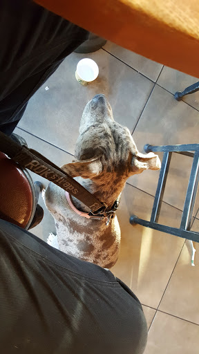 Starbucks image