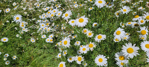 Golf Course «Eastmoreland Golf Course», reviews and photos, 2425 SE Bybee Blvd, Portland, OR 97202, USA