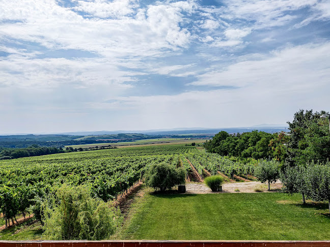 Vinárstvo Böjtös Otváracie hodiny