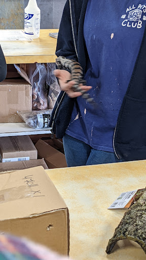 Pet Store «All Pets Club», reviews and photos, 1167 N Colony Rd, Wallingford, CT 06492, USA