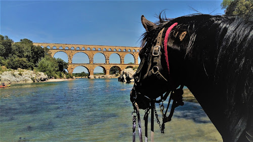 Domaine Equestre le Vieil Amandier à Cabrières