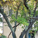 Photo n°12 de l'avis de Roberta.i fait le 06/10/2018 à 05:31 sur le  La Tavolaccia à San Giuliano Terme