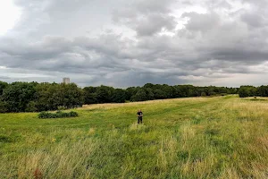 Wyken Croft Nature Park image