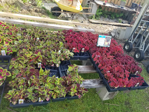 Florist «Lyndhurst Florist», reviews and photos, 5268 Mayfield Rd, Lyndhurst, OH 44124, USA